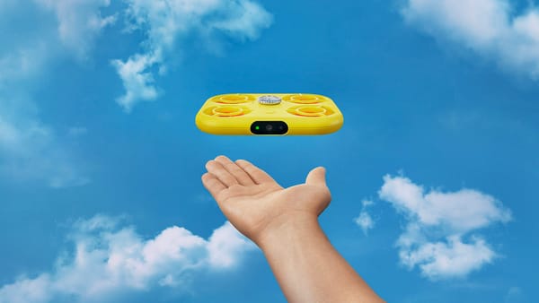 Snap takes flight