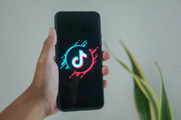 ByteDance's bumpy year
