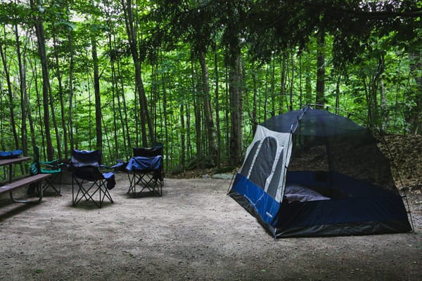 Basecamp offers buyouts
